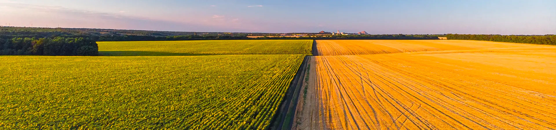 Agricoltura Pianiga